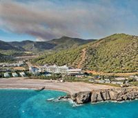 MERSİN'İN GÜLNAR İLÇESİNE BAĞLI KAVAKOĞLU KÖYÜ DELİKKAYA MEVKİİNDE ÇIKAN ORMAN