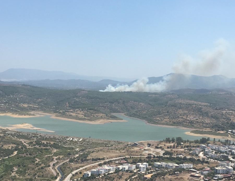MUĞLA'NIN MİLAS İLÇESİNDE MEYDANA GELEN ORMAN YANGININA EKİPLER KARADAN VE