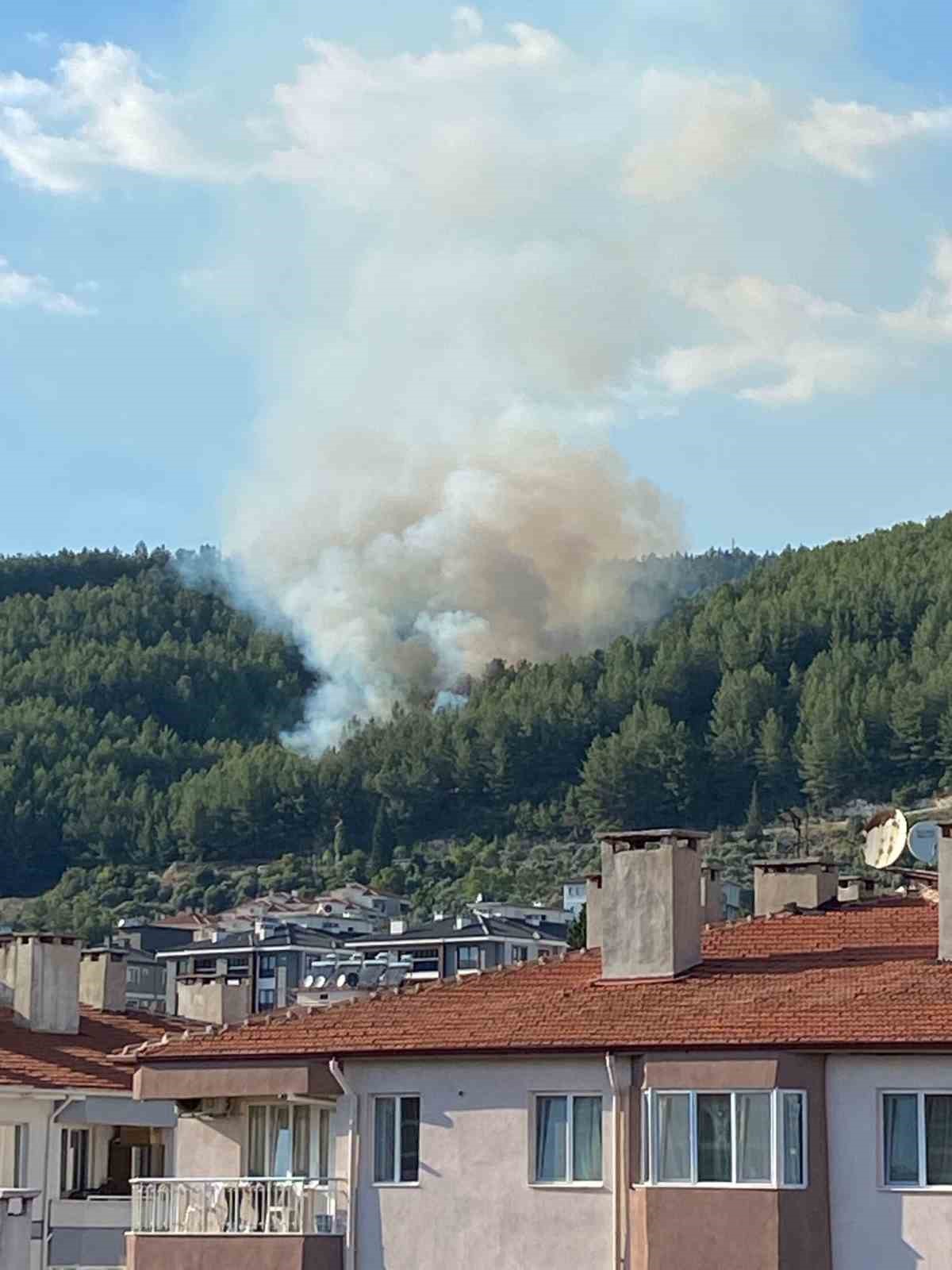 MUĞLA’DA ORMAN YANGINI