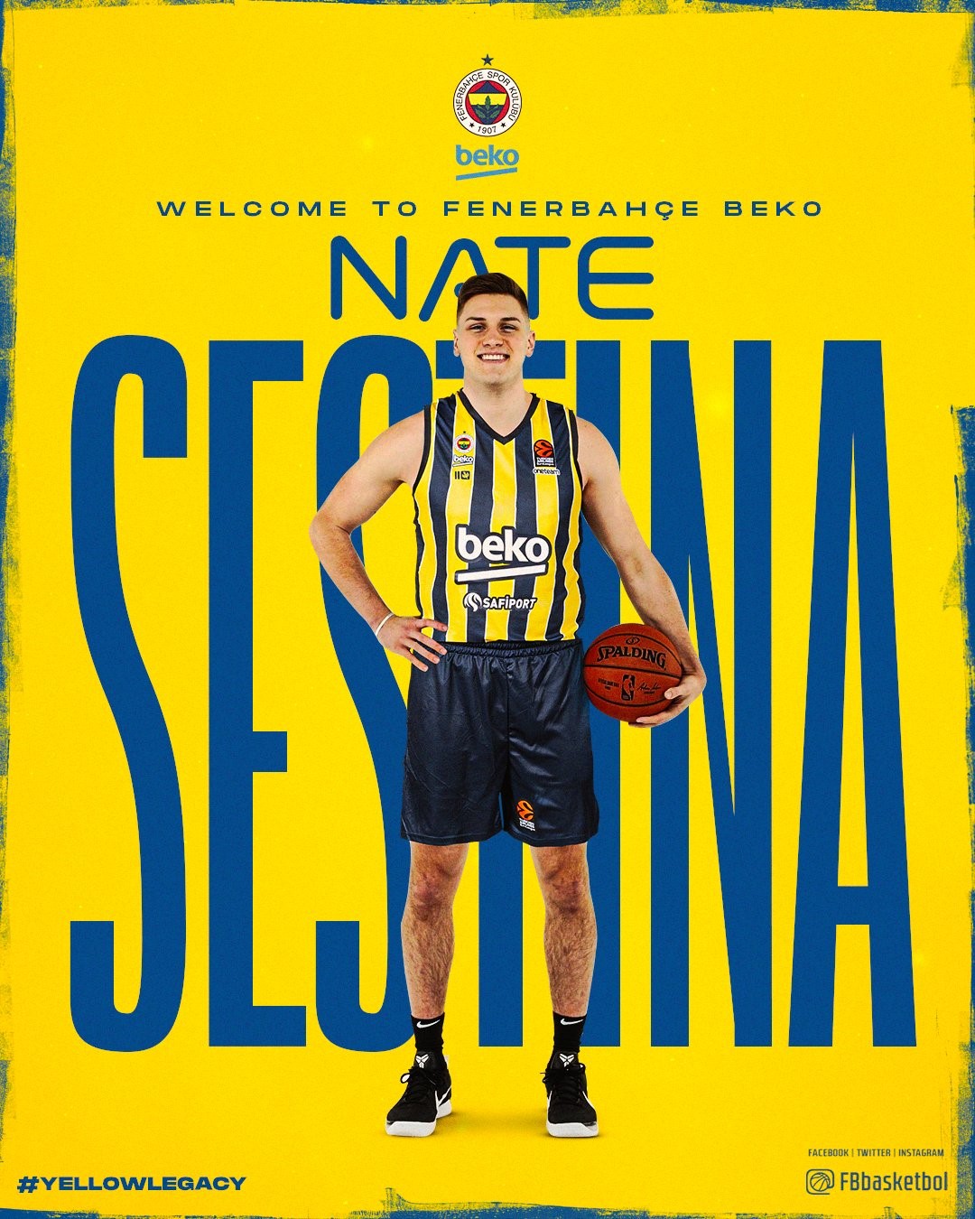 FENERBAHÇE ERKEK BASKETBOL TAKIMI, TÜRK TELEKOM FORMASI GİYEN NATE SESTİNA’YI