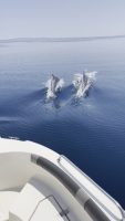 ÇANAKKALE’DE SAROS KÖRFEZİNDE YAKLAŞIK 5 METRE UZUNLUĞUNDAKİ ‘KANCA’ İSİMLİ TEKNESİYLE