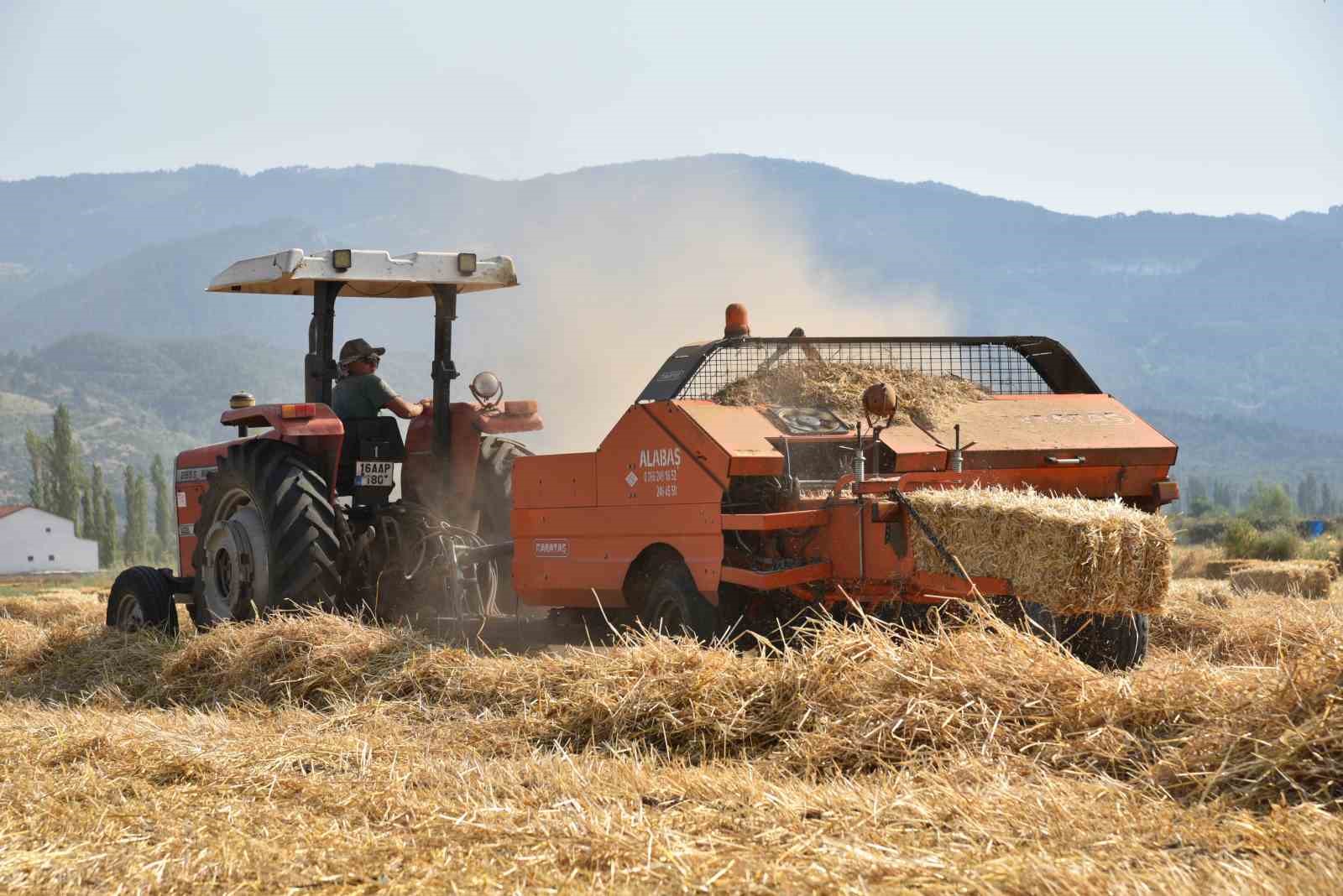 SINDIRGI’DA KIŞLIK YEM HASADI GERÇEKLEŞTİRİLDİ