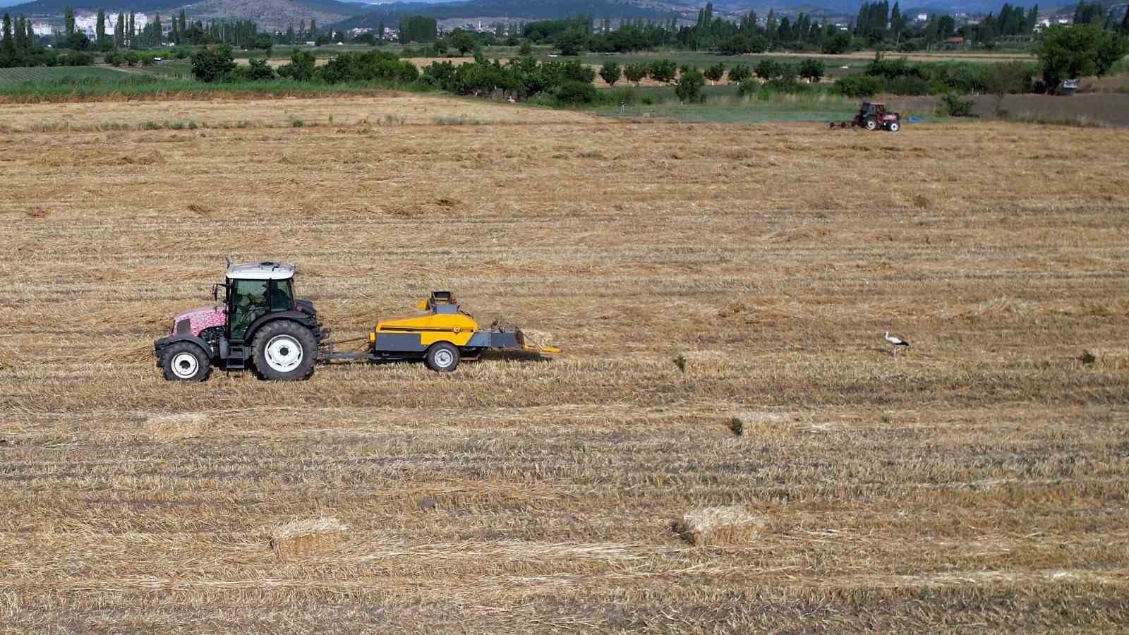 SINDIRGI’NIN SİMGESİ SAĞDIÇ LEYLEK EKİN TARLASINDA GÖRÜNTÜLENDİ