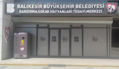Büyükşehir’den Bandırma’ya Sokak Hayvanları Tedavi Merkezi