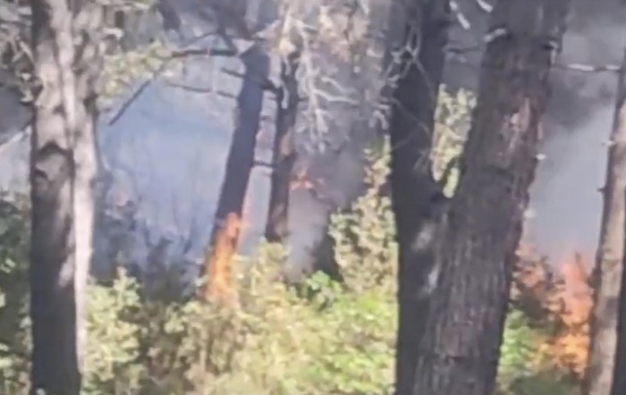 SULTANGAZİ'DE, HACI BEKTAŞ-İ VELİ KENT ORMANI'NDA HENÜZ BİLİNMEYEN NEDENLE YANGIN