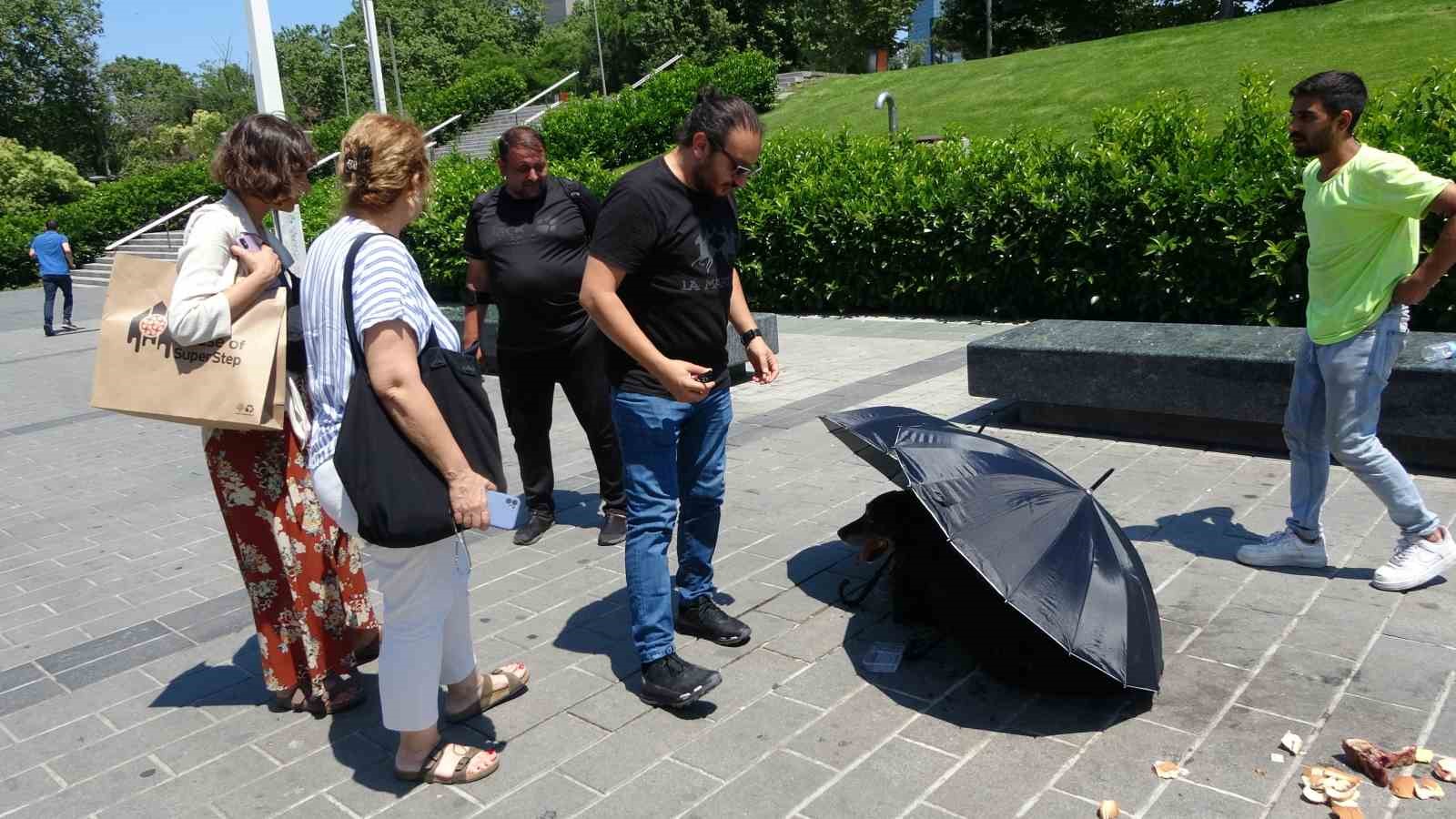TAKSİM MEYDANI'NDA HAREKETSİZ HALDE YATAN YARALI KÖPEĞİN İMDADINA VATANDAŞLAR VE