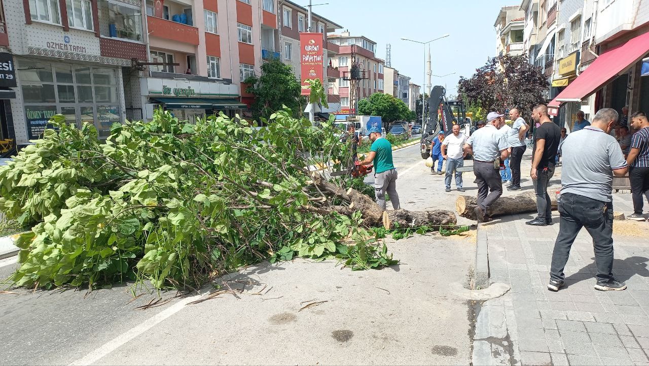 Taksinin üstüne devrilen ağaç 2 saat boyunca trafiği kapattı EDİRNE’DE TAKSİNİN ÜSTÜNE DEVRİLEN AĞAÇ 2 SAAT BOYUNCA TRAFİĞİ KAPATTI