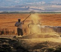 TARIMDA ÜRETİCİ ENFLASYONU HAZİRANDA YÜZDE 57,93 OLDU