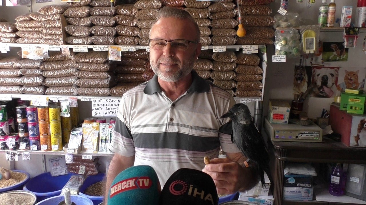 SULTANGAZİ'DE BİR ESNAF, 5 YIL ÖNCE MÜŞTERİSİNİN GETİRDİĞİ YARALI KARGAYI