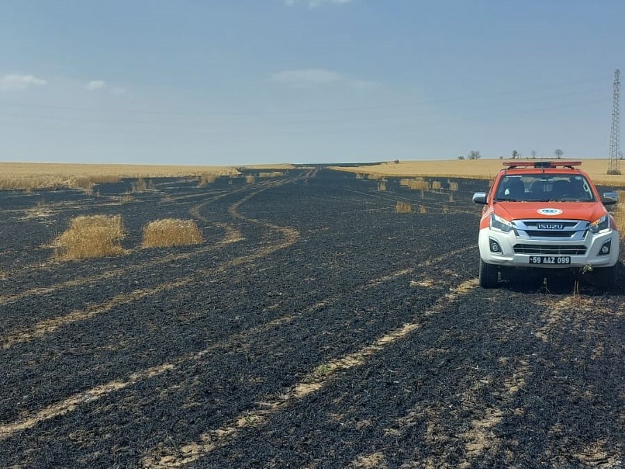 TEKİRDAĞ’DA BUĞDAY EKİLİ TARLADA ÇIKAN YANGINDA, 15 DÖNÜM ALANDA EKİLİ