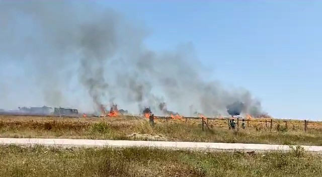 TEKİRDAĞ'DA ÇIKAN YANGIN SONUCU ALEVLERE TESLİM OLAN BUĞDAY TARLASI KÜL