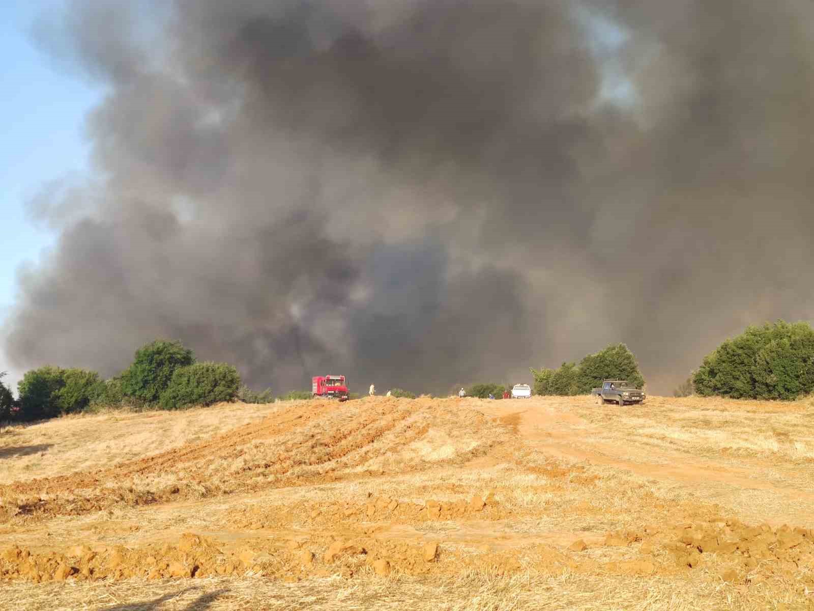 TEKİRDAĞ'IN MALKARA İLÇESİNDE ÇIKAN ORMAN YANGINI, RÜZGARIN DA ETKİSİYLE YERLEŞİM