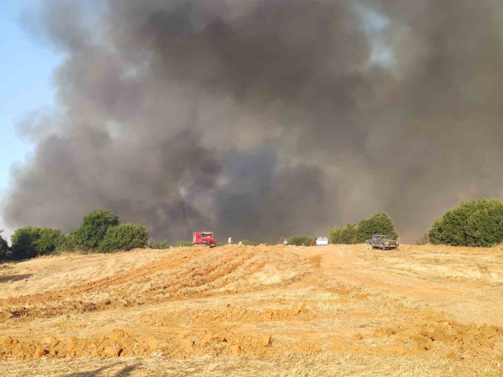 TEKİRDAĞ’IN MALKARA İLÇESİNDE MEYDANA GELEN ORMAN YANGINIYLA İLGİLİ 2 KİŞİ