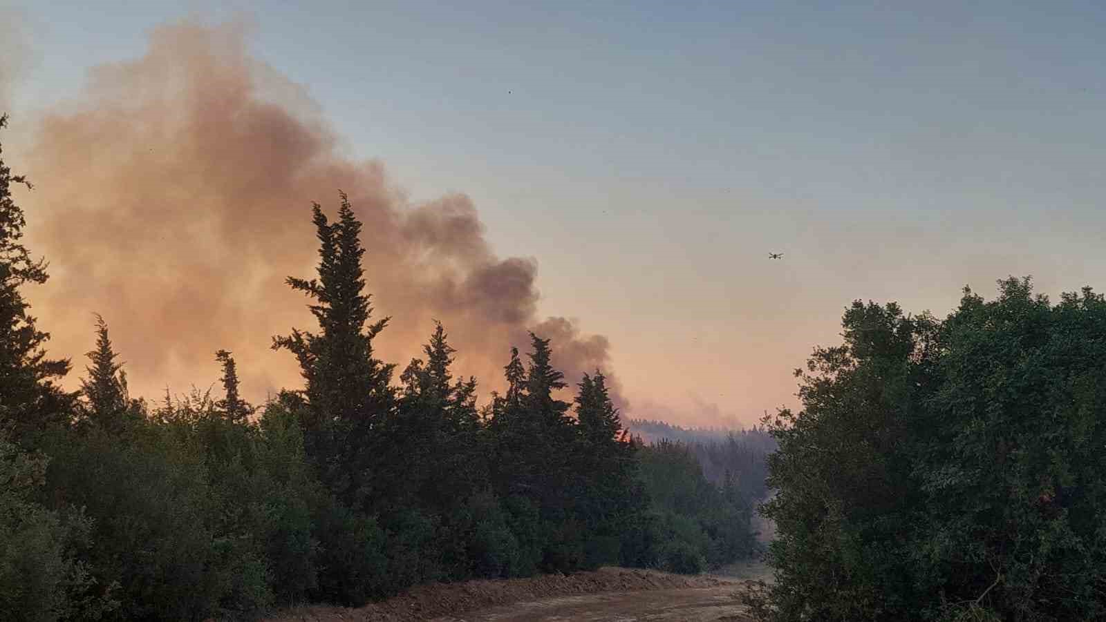 TEKİRDAĞ’IN MALKARA İLÇESİNDE ÇIKAN ORMAN YANGININA MÜDAHALE ÇALIŞMALARINDA HELİKOPTER DESTEKLİ