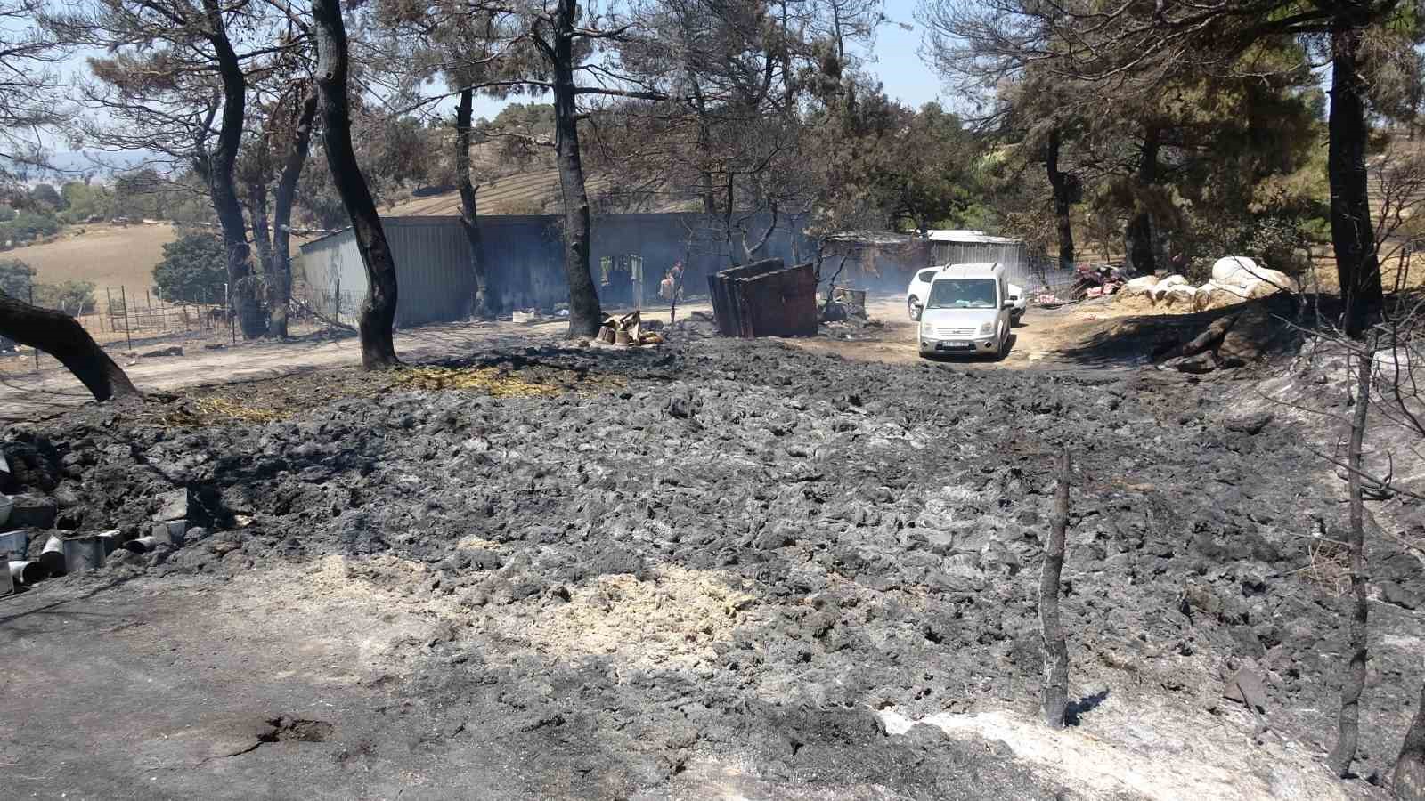 ÇANAKKALE MERKEZE BAĞLI KIZILKEÇİLİ KÖYÜNDE 16 TEMMUZ PAZAR GÜNÜ ÇIKAN