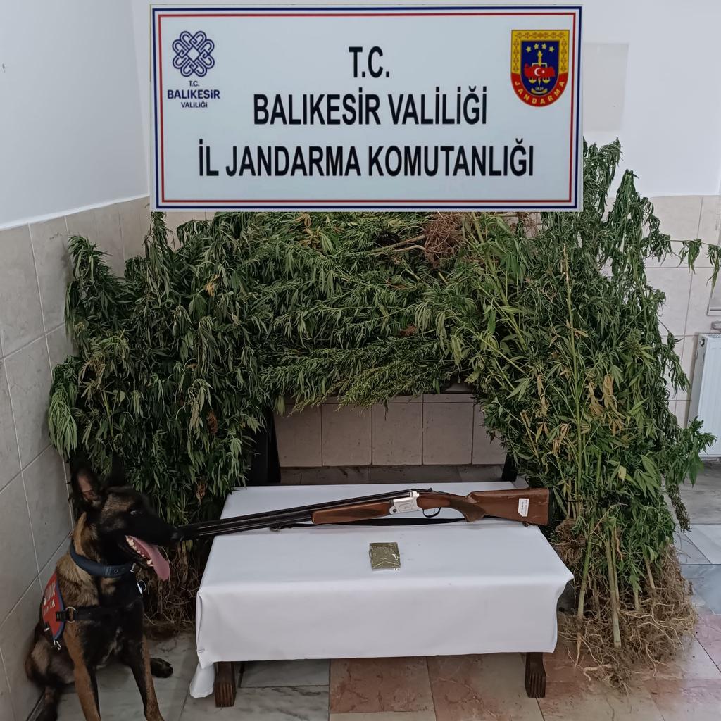 Burhaniye’de uyuşturucu madde imal ve ticaretine yönelik istihbarı operasyonda 1