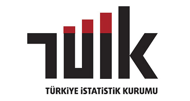 Türkiye İstatistik Kurumu (TÜİK), 2023 yılının 2’nci çeyreği nisan-haziran dönemine