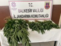 Balıkesir İl Jandarma Komutanlığı tarafından Balıkesir’de yürütülen operasyonda Erdek ve