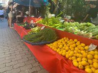 Pazar tezgâhlarındaki fiyatlar bahar hasadının ardından rahatlamışken gelen zamlar yeniden