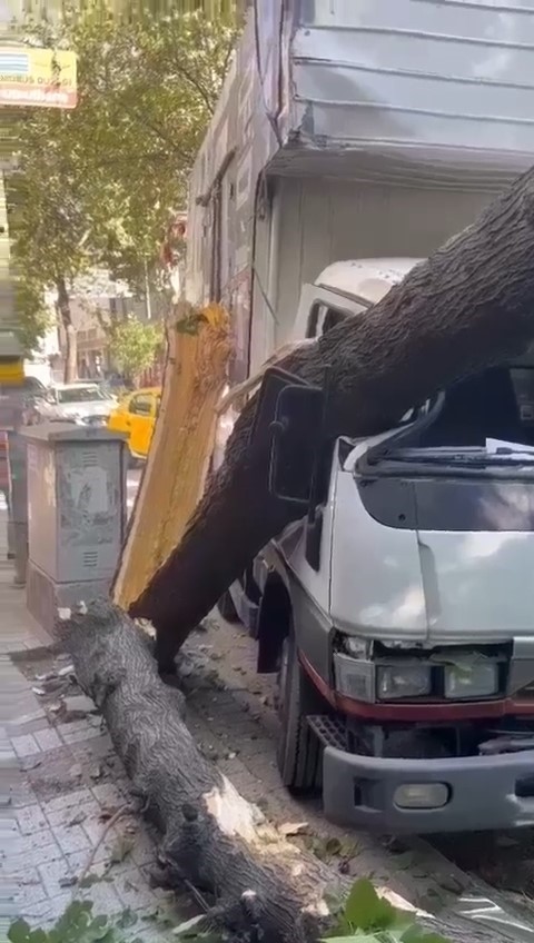 BURSA’DA KIRILAN AĞAÇ, SEYİR HALİNDEKİ BİR KAMYONETİN ÜZERİNE DEVRİLDİ. OLAYDA