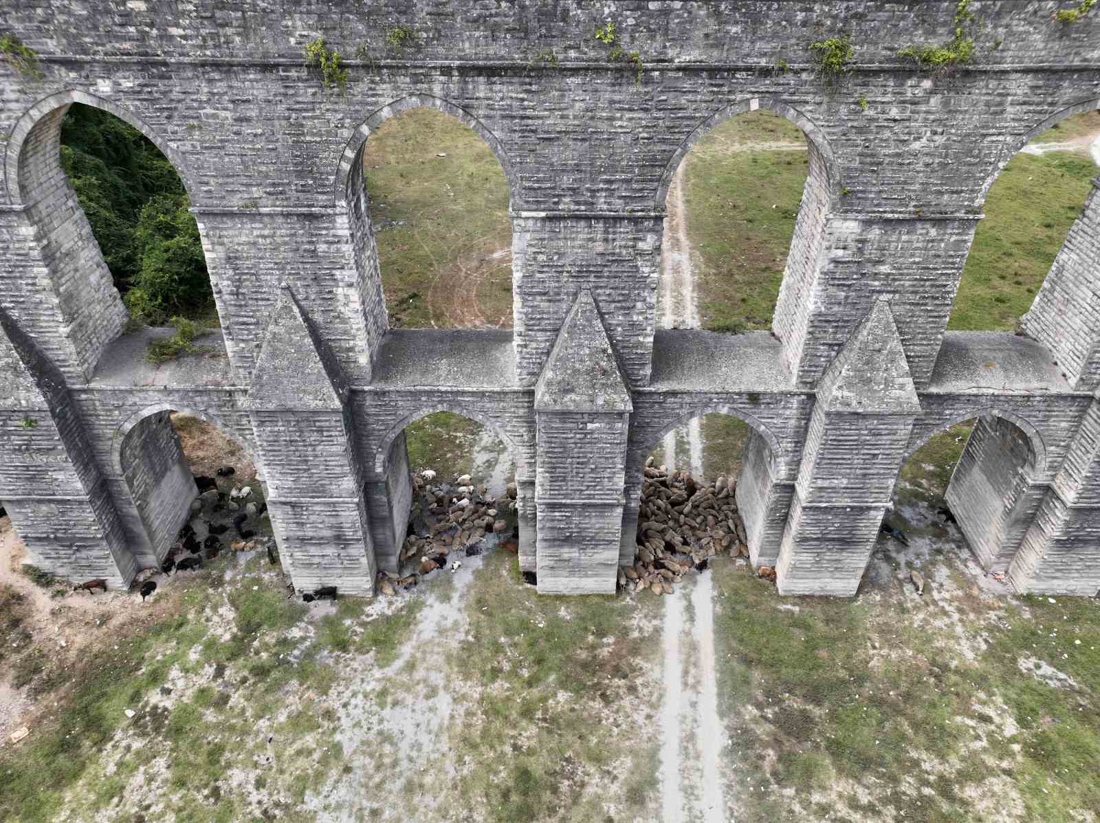 YÜKSEK NEM İLE BİRLİKTE GELEN SICAKLIK NEDENİYLE İSTANBUL ALİBEY BARAJI’NDA