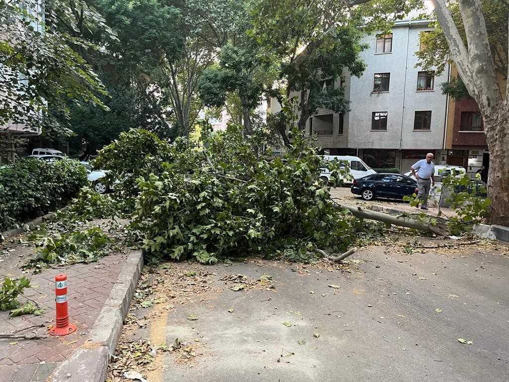 ANKARA’DA AKŞAM SAATLERİNDE ŞİDDETLİ RÜZGAR ETKİLİ OLDU. BAZI AĞAÇLAR PARK