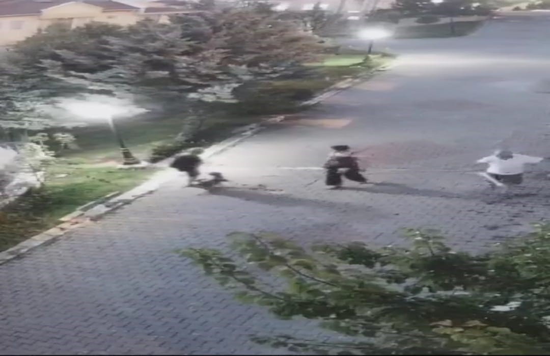ANKARA’DA SAHİBİNİN ELİNDEN KURTULAN KÖPEK, YAŞLI BİR KADINA SALDIRDI. KORKU