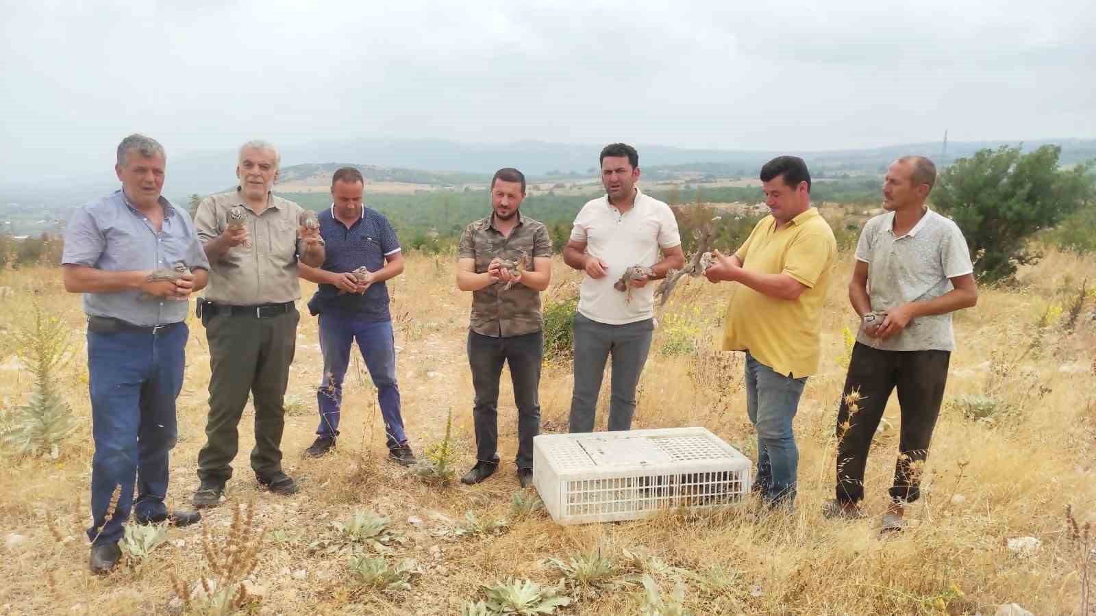 2023-2024 YILI AV SEZONU İÇERİSİNDE TÜM AVLAKLARDA KEKLİK TÜRLERİNİN AVLANMASI