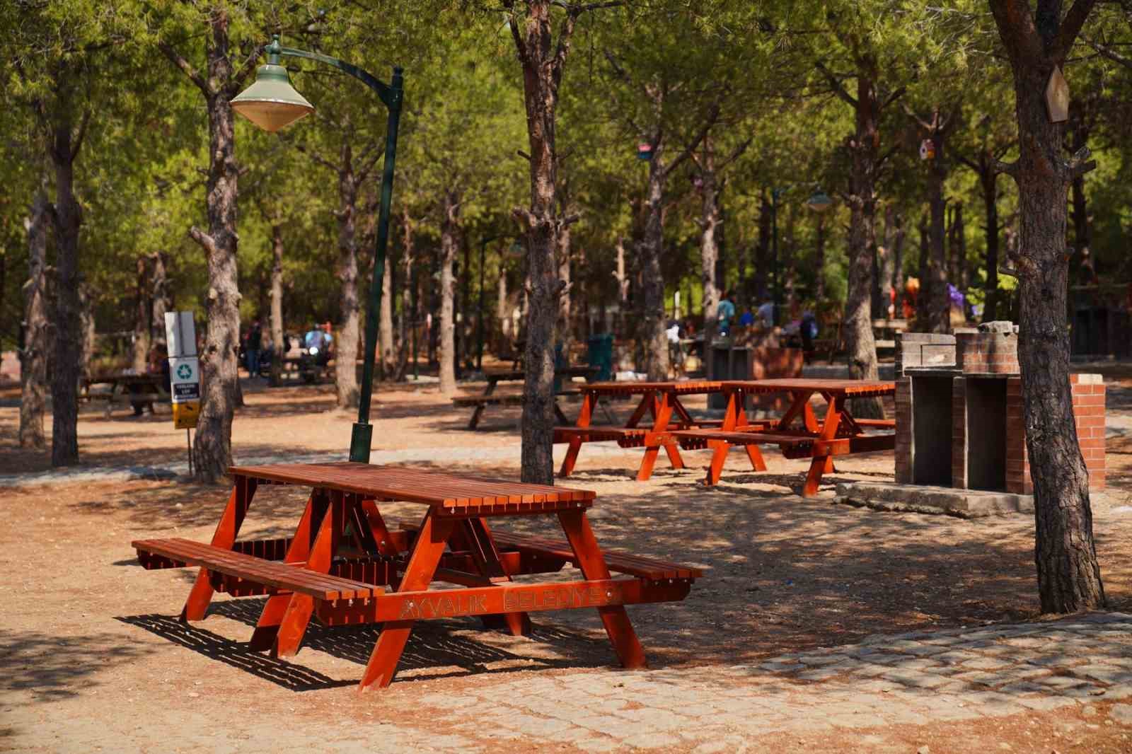 AYVALIK’TA MESİRE ALANINDAKİ AHŞAP OTURMA GRUPLARI YENİLENİYOR