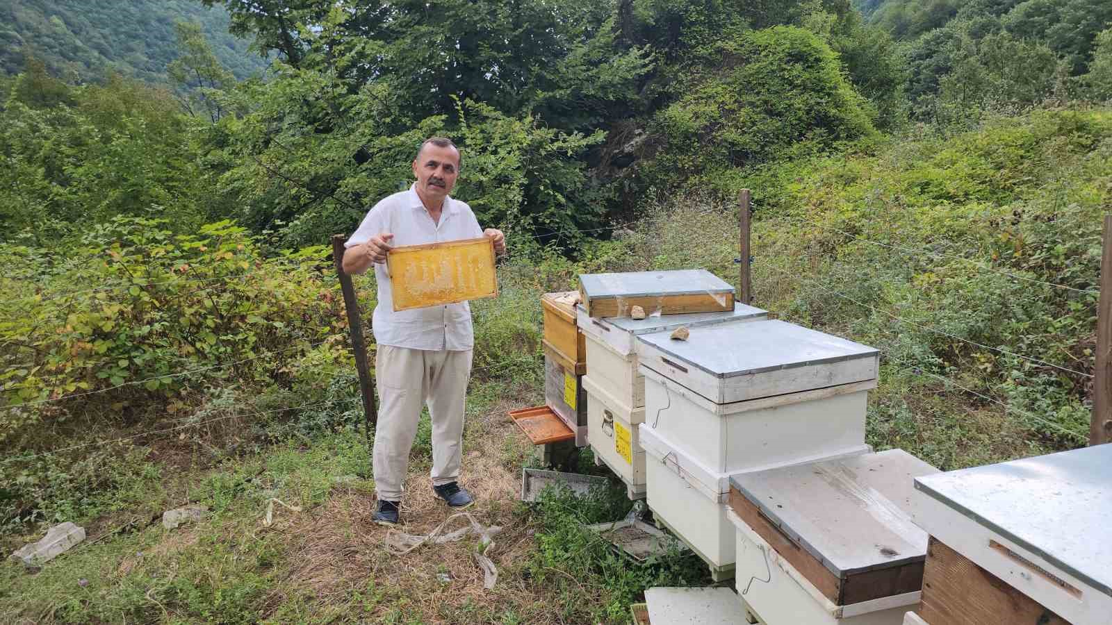 KARABÜK’TE YAKLAŞIK 6 YILDIR ARICILIKLA UĞRAŞAN HİLMİ ACAR İSİMLİ VATANDAŞIN