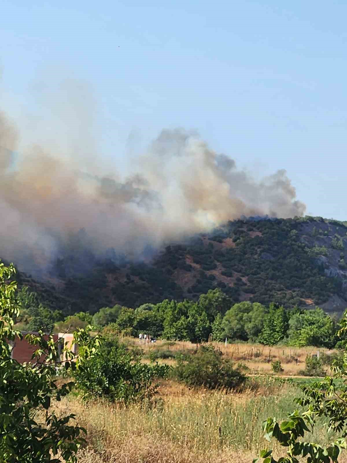 BALIKESİR VALİSİ İSMAİL USTAOĞLU KEPSUT İLÇESİNDE ÇIKAN ORMAN YANGININ KONTROL