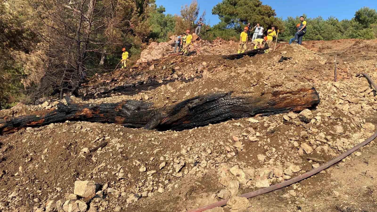 BALIKESİR’İN BURHANİYE İLÇESİNDE  ÇIKAN ORMAN YANGININA İLK MÜDAHALE HAVADAN