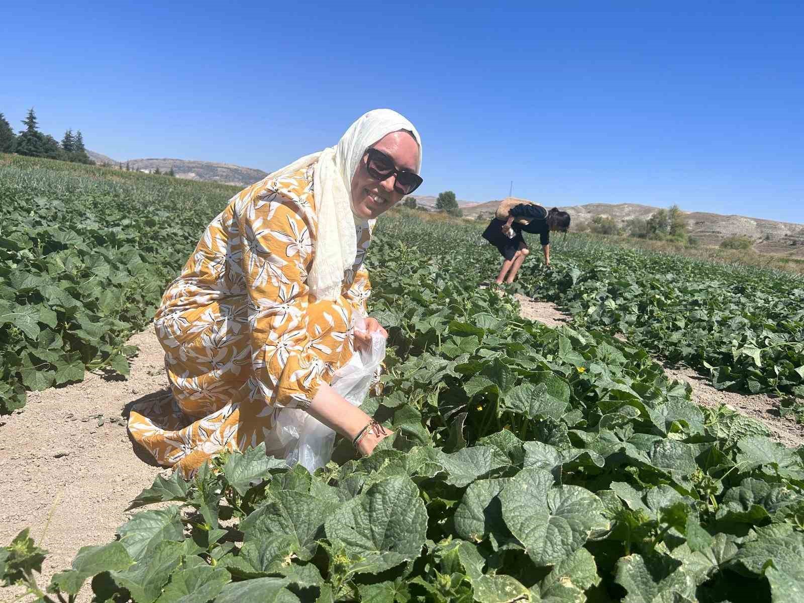 BU TARLAYA GELEN İSTEDİĞİNİ SEÇİYOR
