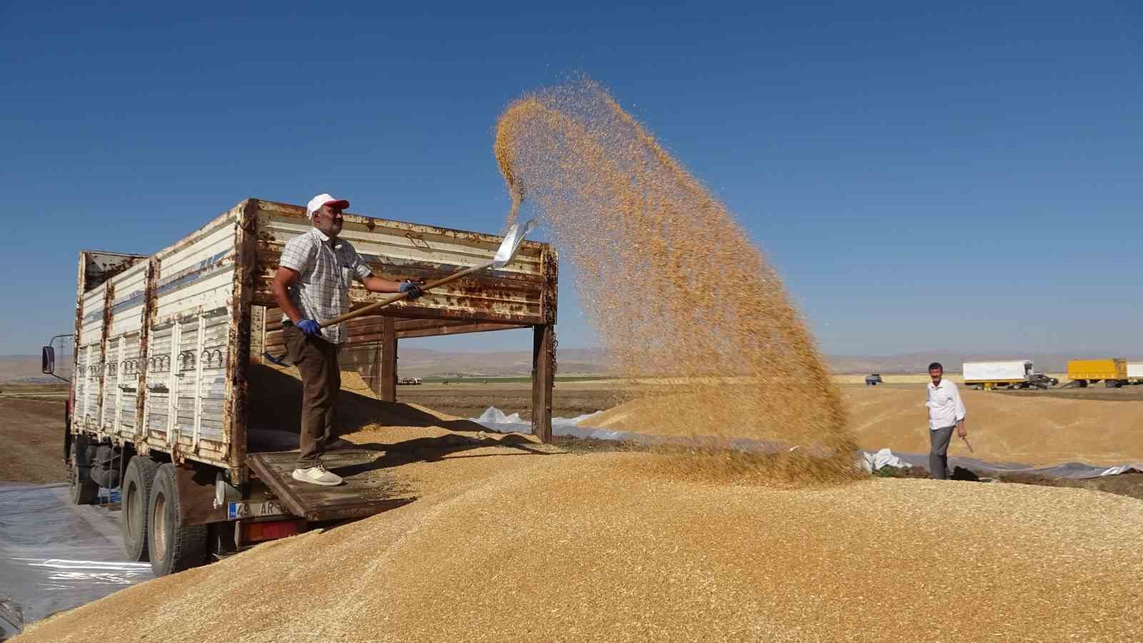 Buğdayda rekor üretim gerçekleşti MUŞ’TA CUMHURİYET TARİHİNİN EN YÜKSEK VERİMLİLİK SEVİYESİNE ULAŞAN BUĞDAYDA REKOR