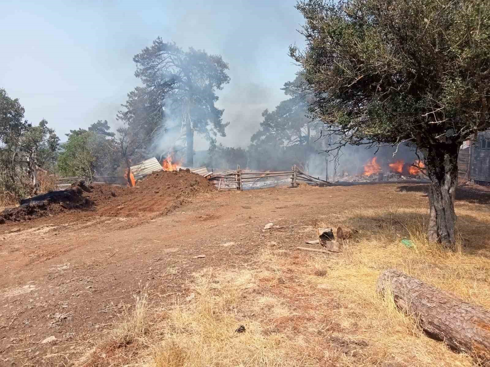 BURSA’NIN MUSTAFAKEMALPAŞA İLÇESİNDE KOYUN AĞILINDA MEYDANA GELEN YANGIN KISA SÜREDE