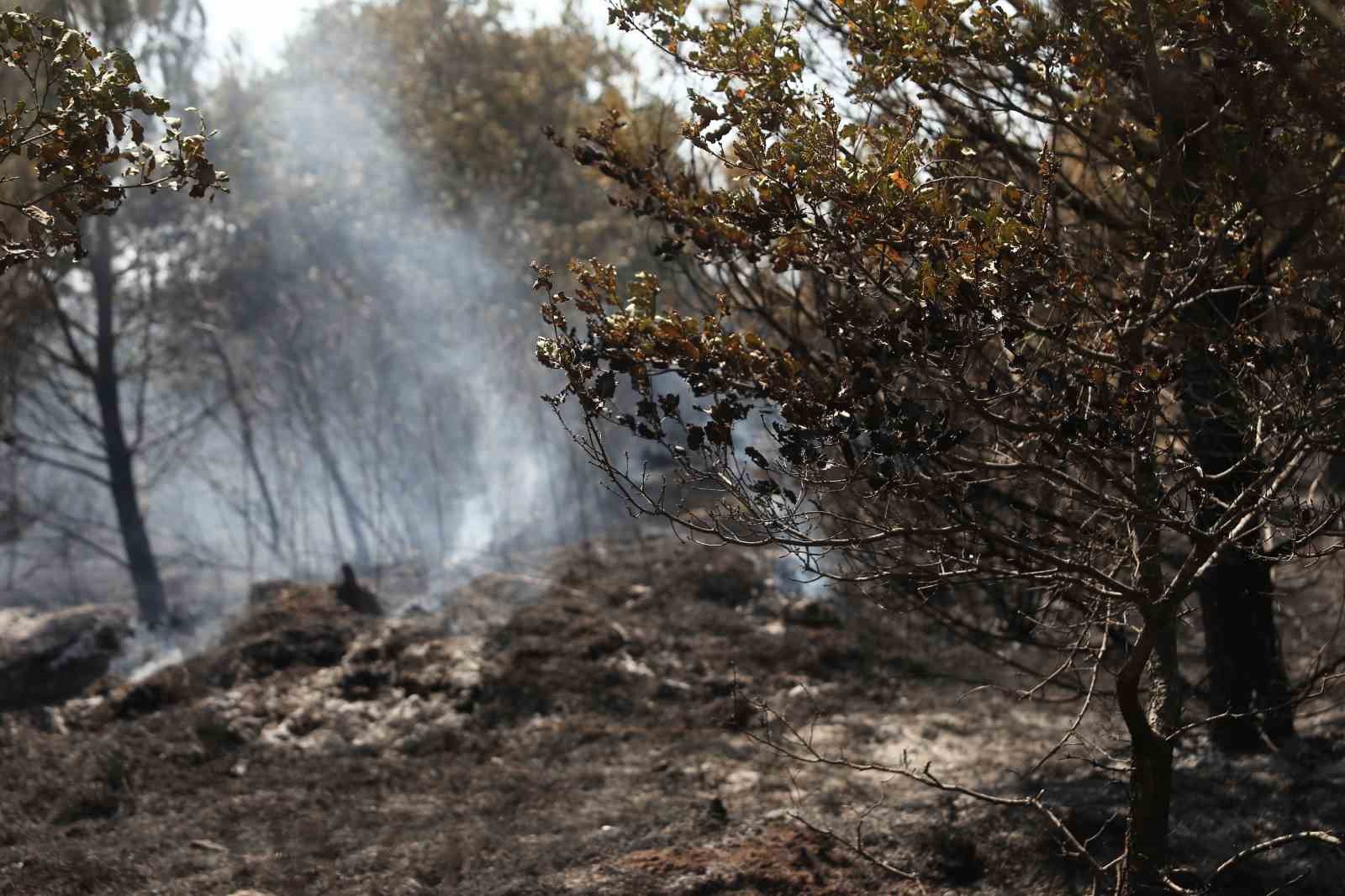 BURSA’NIN NİLÜFER İLÇESİ KIZILCIKLI MAHALLESİ’NDE YANGIN ÇIKTI