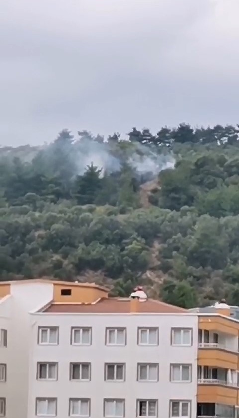 BURSA’NIN MUDANYA İLÇESİNDE MAKİLİK ALANDA ÇIKAN YANGIN KISA SÜREDE SÖNDÜRÜLDÜ.