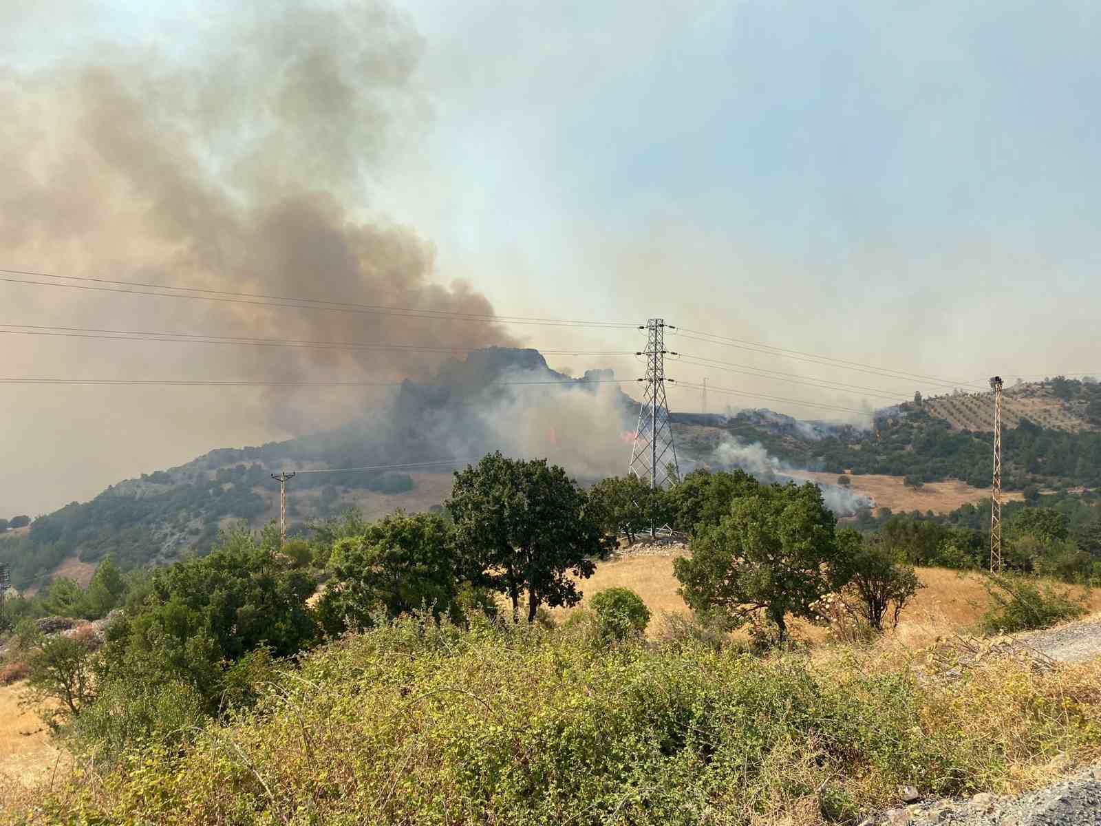 ÇANAKKALE'DEKİ ORMAN YANGININA HAVADAN VE KARADAN MÜDAHALE DEVAM EDİYOR. ÇANAKKALE