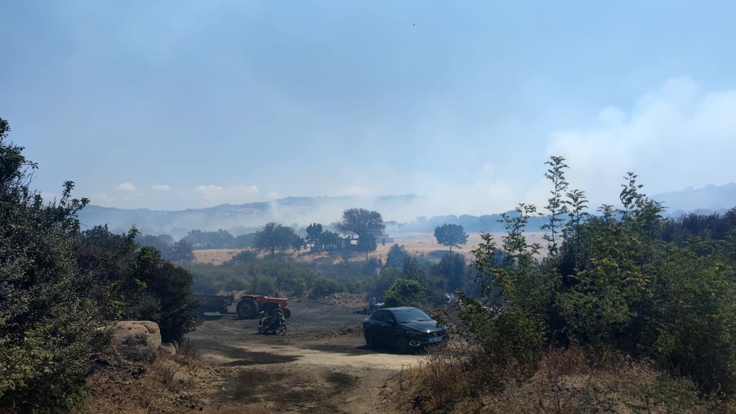 ÇANAKKALE’NİN AYVACIK İLÇESİNDE TARIM ZİRAAT ARAZİLERİNİN BULUNDUĞU BÖLGEDE YANGIN ÇIKTI.