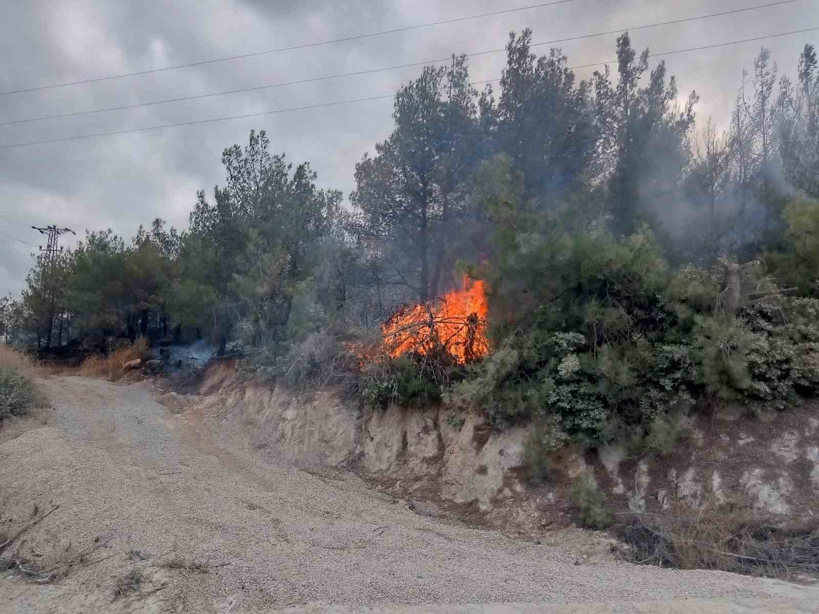 ÇANAKKALE'NİN EZİNE İLÇESİNE BAĞLI DERBENTBAŞI KÖYÜ YAKINLARINDA ÇIKAN ORMAN YANGINI