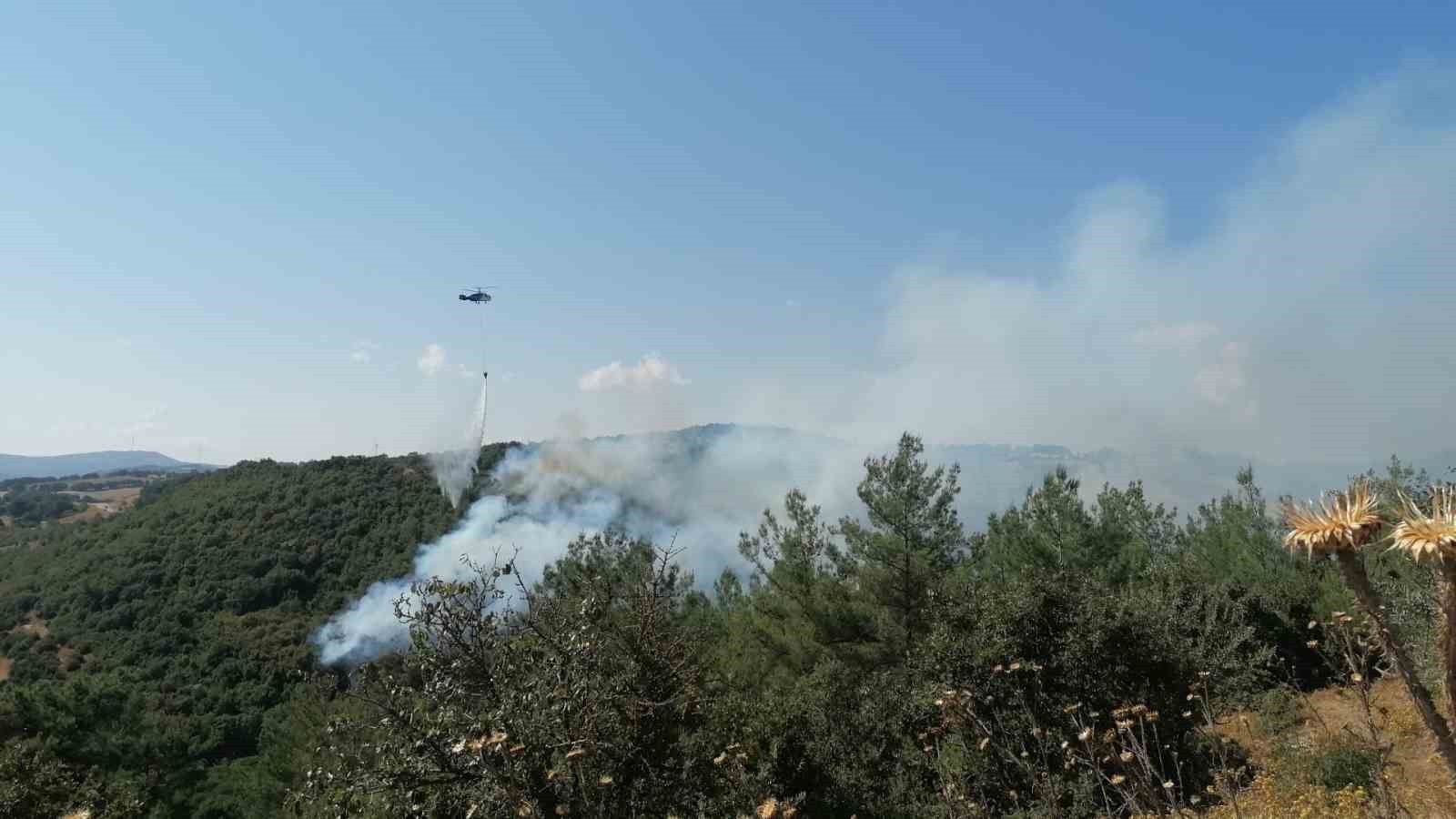 Çan’daki orman yangını kontrol altına alındı ÇANAKKALE’NİN ÇAN İLÇESİNDE ÇIKAN ORMAN YANGINI, ORMAN BÖLGE MÜDÜRLÜĞÜNE BAĞLI