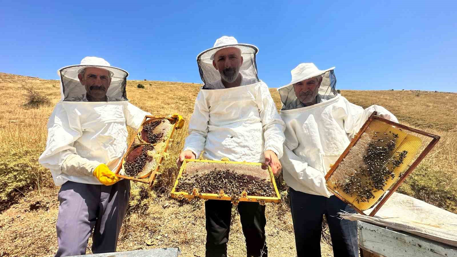TÜRKİYE'DEKİ BAL ÜRETİMİNİN ÖNEMLİ MERKEZLERİNDEN ELAZIĞ’DA TESCİLLİ GEVEN BALININ HASADI