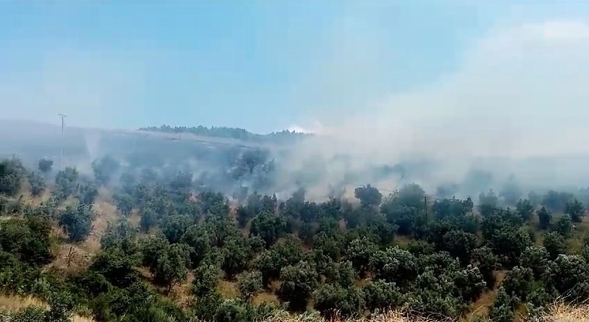 BURSA’NIN İZNİK İLÇESİNDE MAKİLİK ALANDA YANGIN ÇIKTI. KISA SÜREDE BÜYÜYEN