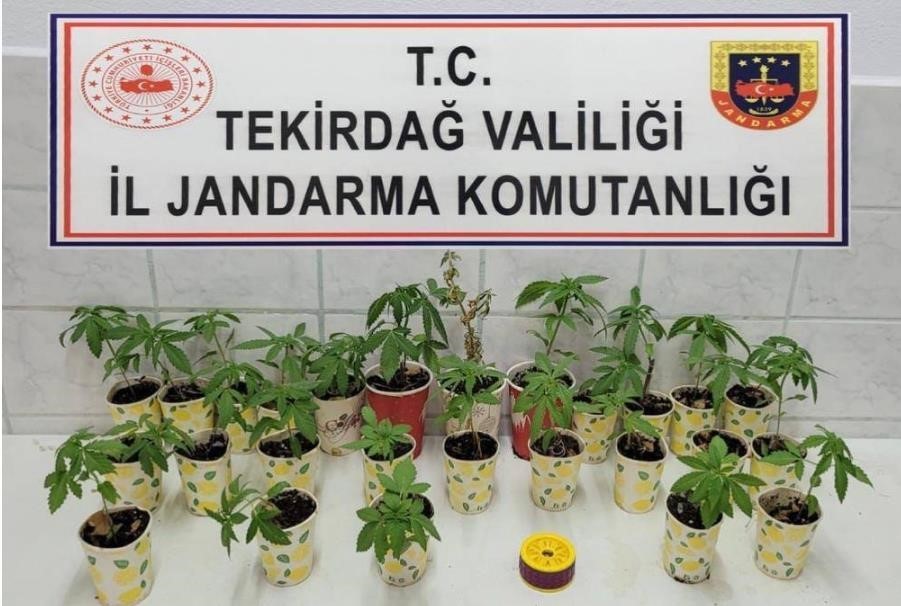 TEKİRDAĞ’IN 3 İLÇESİNDE JANDARMA EKİPLERİNCE DÜZENLENEN UYUŞTURUCU OPERASYONUNDA 5 KİŞİ