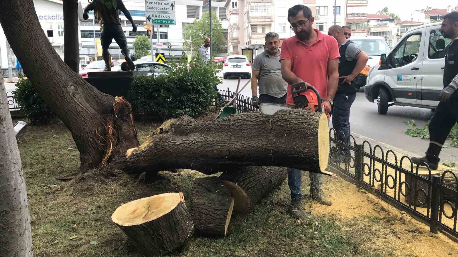 KADIKÖY’DE ANA CADDEDE BULUNAN BİR AĞAÇ, RÜZGÂRIN ETKİSİYLE YOLA DEVRİLDİ.