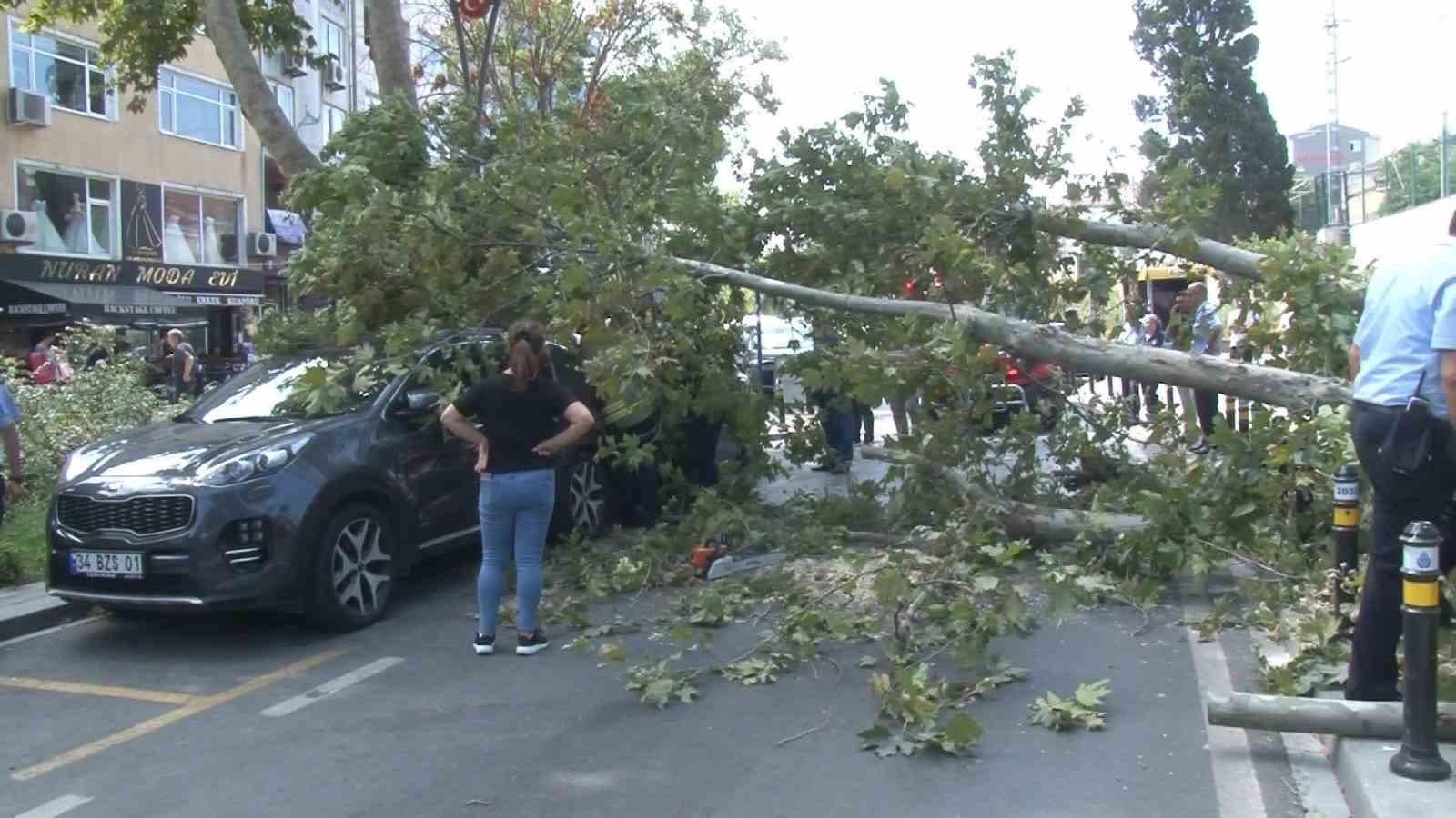 KARTAL’DA RÜZGARIN ETKİSİYLE DEVRİLEN AĞAÇ PARK HALİNDE Kİ ARACIN ÜSTÜNE