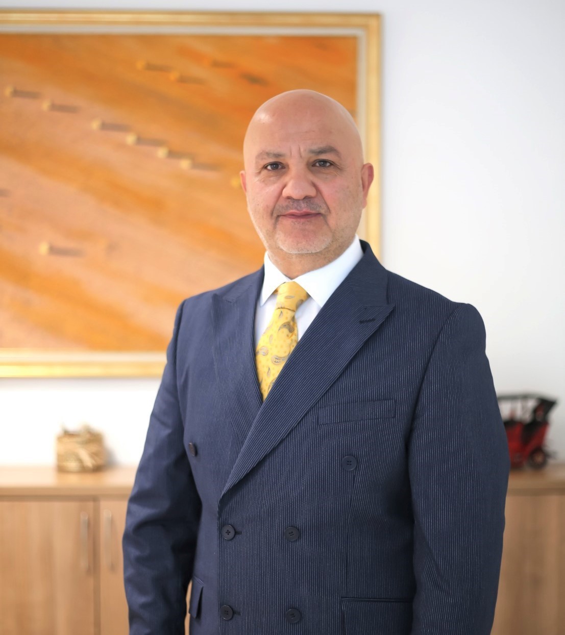 PROF. DR. TAMER ŞANLIDAĞ
