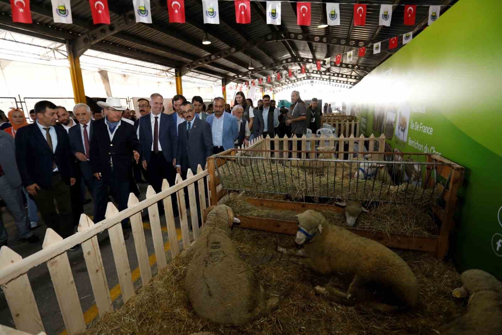 İNEGÖL BELEDİYESİ’NİN BU YIL ÜÇÜNCÜSÜNÜ DÜZENLEYECEĞİ TÜRKİYE’NİN EN ÇERÇEVELİ KÜÇÜKBAŞ