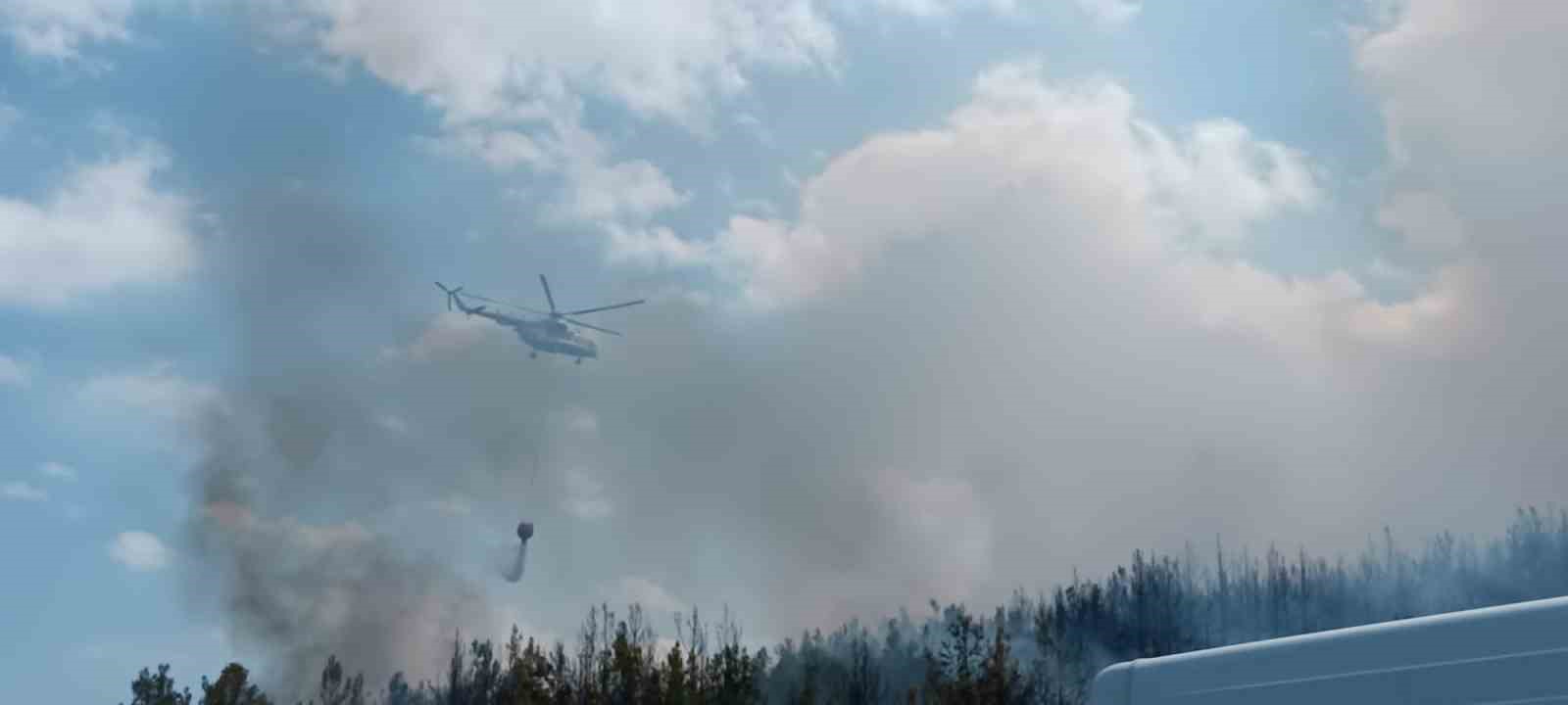 Lapseki’de orman yangını ÇANAKKALE’NİN LAPSEKİ İLÇESİNE BAĞLI DİŞBUDAK KÖYÜ YAKINLARI DA ORMAN YANGINI