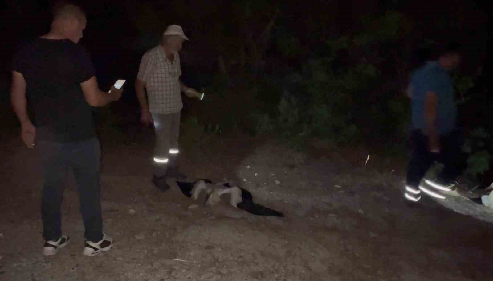 BALIKESİR’İN DURSUNBEY İLÇESİNE BAĞLI İSTASYON MAHALLESİ YAKININDA ELEKTRİK DİREKLERİ ÜZERİNDE
